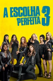A Escolha Perfeita 3 (2017)