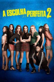 A Escolha Perfeita 2 (2015)