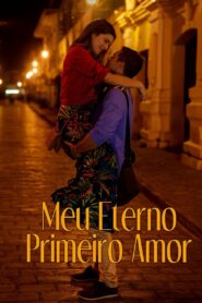 Meu Eterno Primeiro Amor (2020)
