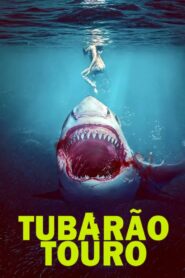 Tubarão Touro (2022)