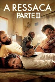 Se Beber, Não Case! Parte II (2011)
