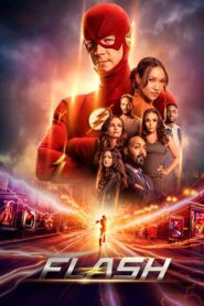 Flash (2014)