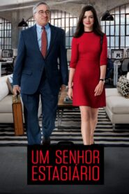 Um Senhor Estagiário (2015)